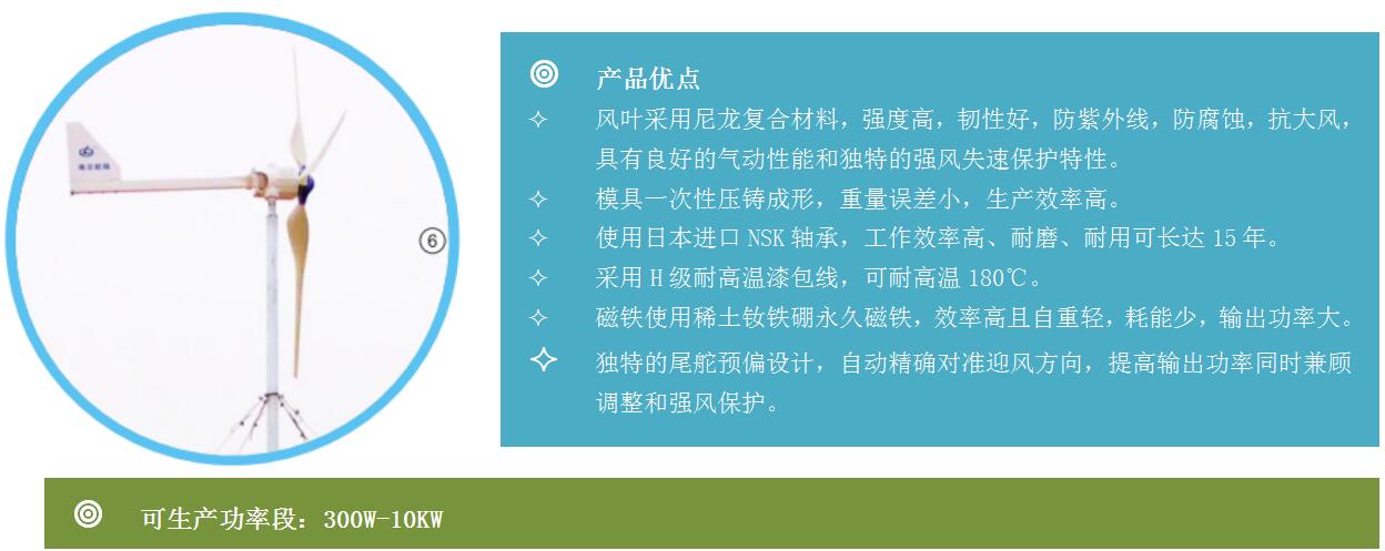 FD系列風(fēng)力發(fā)電機.jpg